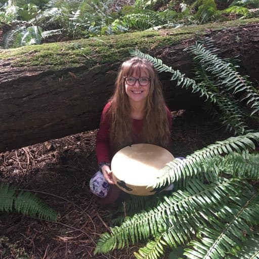 Julie Ericson, Energy Medicine